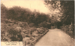 CPA  Carte Postale Belgique Lustin  Sur Meuse La Palombière 1952  VM69469ok - Profondeville