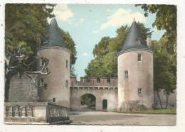 Cp, 17, MIRAMBEAU, Château Des Comtes DUCHATEL, L'entrée, Voyagée 1979, Ed. Combier - Mirambeau