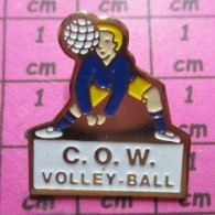 2119 Pin's Pins / Beau & Rare /  SPORTS / CLUB DE VOLLEY-BALL C.O.W. - Voleibol