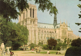 CPM - P - PARIS - LA CATHEDRALE NOTRE DAME ET LE SQUARE VIVIANI - Notre Dame De Paris