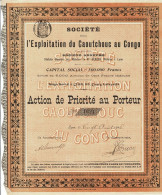 Titre De 1906 - Société Pour L'Exploitation Du Caoutchouc Au Congo - N° 1622 - Industrie