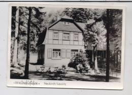 0-8505 NEUKIRCH / Lausitz, "Waldschlößchen" - Neukirch (Lausitz)