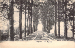 BELGIQUE - TONGRES - Les Digues -  Carte Postale Ancienne - Tongeren