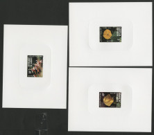 DJIBOUTI 3 Epreuves De Luxe Sur Papier Glacé N° 564 à 566 Fleurs COTONNIER MORINGA IPOMEE 1983 - Autres & Non Classés