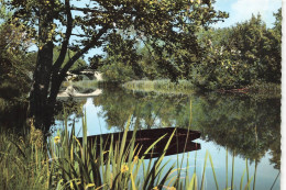 Luxé * Les Bords De La Charente - Andere & Zonder Classificatie