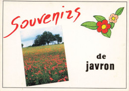 Javron * Souvenir Du Village - Other & Unclassified