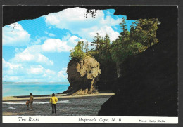 Hopewell Cape Nouveau-Brunswick - The Rocks - Non Circulée - Par Lewis & Nugent  Photo Marty Sheffer No: X112821 - Andere & Zonder Classificatie