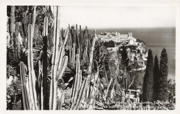 MONACO - Jardin Exotique - Vue Sur Le Rocher De Monaco - Carte Postale Ancienne - Giardino Esotico