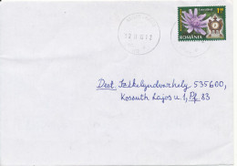 Romania Cover Racu 12-11-2015 Single Franked - Lettres & Documents