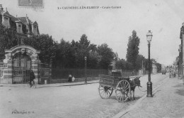 CAUDEBEC-lès-ELBEUF - Cours Carnot - Attelage Tiré Par Un âne - Caudebec-lès-Elbeuf