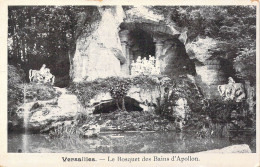 FRANCE - 78 - Versailles - Le Bosquet Des Bains D'Apollon - Carte Postale Ancienne - Versailles