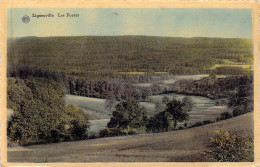 BELGIQUE - Ligneuville - Les Forêts - Carte Postale Ancienne - Malmedy