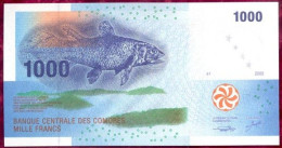 Banknotes Oceania Comoros Comoros Republic 1000 Francs 2005 UNC. - Comoros