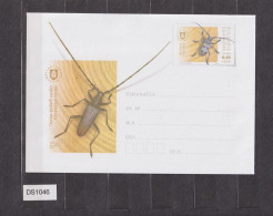 Bulgaria Bulgarie 2020 Postal Stationery Cover PSE, Entier Postal, Protected Beetles-Cerambyx Cerdo (ds1046) - Enveloppes