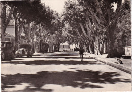 MONTEUX - Le Boulevard De Verdun - Monteux