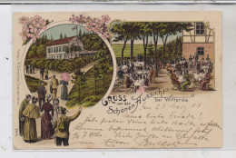 Delcampe - 0-5101 WITTERDA, Lithographie, Gruss Von Der Schönen Aussicht, Ex-Sammlung Dyba - Sömmerda