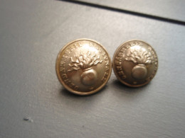 2 Jolis Boutons - Gendarmerie Nationale - 20 Mm & 17.5 Mm - Boutons