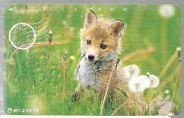 CARTE-MAGNETIQUE-JAPON-1989-RENARD-UTILISE-TBE - Honden