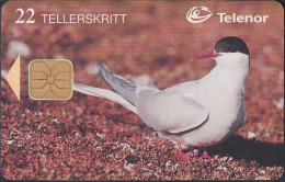 Norway - N115 Animal Artic Tern - Vogel - Bird - Svalbard - Mint - Norvège