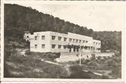 FRANCE  - 83 - ST ZACHARIE (VAR) - COLONIE SCOLAIRE - 1948 - Saint-Zacharie