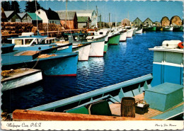 Canada Prince Edward Island Cabot Park Camping Area Malpeque Cove - Andere & Zonder Classificatie