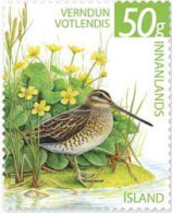 Iceland 2011 Definitives The Nature Conservancy Birds Gallinago Gallinago Stamp Mint - Neufs