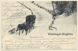 Poste Suisse En Hiver / Pferdeschlitten (Vintage PC 1905) - Poste & Facteurs