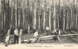 Senonches * La Forêt * Le Pelage Du Bois * Scierie Métier Bûcherons BOIS - Other & Unclassified