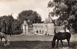 Fleurigny * Le Château * Environs De Sens - Autres & Non Classés