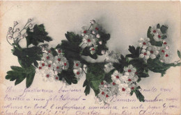 PHOTOGRAPHIE - FLEURS - Carte Postale Ancienne - Fleurs