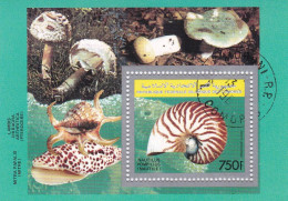 Komoren Block 361 Gestempelt Muschel - Comores (1975-...)