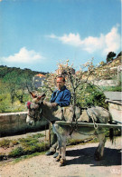 Sagone ( Vico ) Cachet ! * Scène Jurnalière Au Village * Attelage âne Métier Transport Type * Corse Du Sud 2A - Andere & Zonder Classificatie