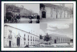 BENAVENTE - SAMORA CORREIA - Palacio Do Infantado.  Carte Postale - Santarem