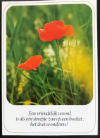 Delcampe - (6487) Een Vriendelijk Woord - Klaproos - Philosophie