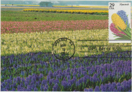 Etats-Unis Carte Maximum 1993 Fleurs Jacinthe 2156 - Maximum Cards