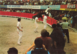 Corrida * Course Libre De Taureaux * Un Joli Coup De Barrière , Manade LAURENT * Torero Arènes - Corridas