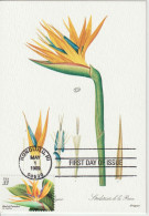Etats-Unis Carte Maximum 1999 Fleurs Oiseau De Paradis 2884 - Maximum Cards