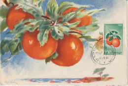 Israel Carte Maximum 1956 Oranges 112 - Tarjetas – Máxima