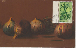 Israel Carte Maximum 1958 Figues 144 - Tarjetas – Máxima