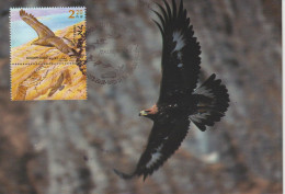 Israel Carte Maximum 2002 Aigle Royal 1631 - Maximumkaarten