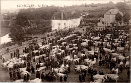 Charolles La Foire Vache Cow Boeuf Beef Saône-et-Loire 71120 Dos Vert Cpa Ecrite Au Dos En TB.Etat - Charolles