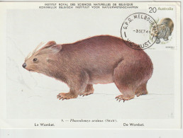 Australie Carte Maximum 1974 Wombat 527 - Maximum Cards