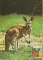 Australie Carte Maximum 1986 Kangourou 964 - Cartoline Maximum