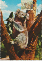 Australie Carte Maximum 1992 Koala 1273 - Cartoline Maximum