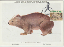 Australie Carte Maximum 1992 Wombat 1275 - Maximumkarten (MC)