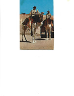 Delcampe - Libya - Postcard Used  Written 1980 - Gadames - Camel Mounted Meharisti  2/scans - Libyen