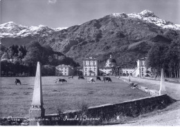 Delcampe - 21491 " OROPA-PASCOLO E INGRESSO " MUCCHE-VERA FOTO-CART. POST. SPED.1962 - Biella