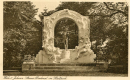 572 Wien I. Johann Strauss-Denkmal Im Stadtpark. 26093 Postkarten Industrie A. G. Wien I. Wollzeile 19 - Ringstrasse