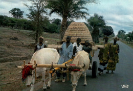 CPM - AFRIQUE En Couleurs - Attelage De Boeufs - Rencontre Sur La Route - Edition Iris-Mexichrome - Non Classés