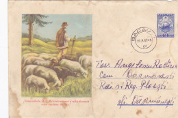 SHEEPS, SHEPHERD, AGRICULTURE, COVER STATIONERY, 1960, ROMANIA - Agriculture